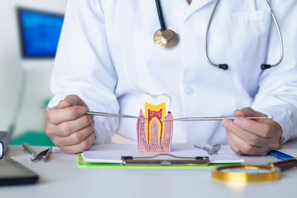 Best Emergency Dental Services for Seniors in Channahon, IL